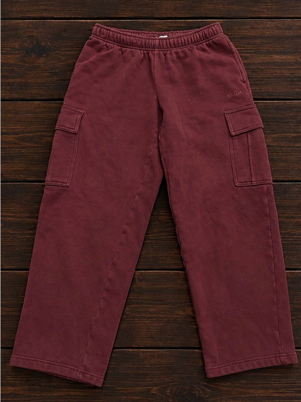 Aritzia Men's Cargo Sweatpants in Wine